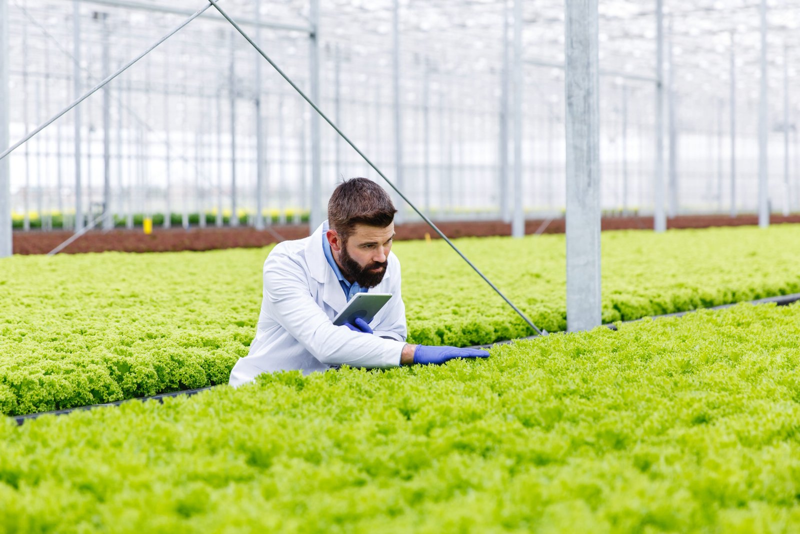 Vertical Farming at Home: Grow Your Own Food Indoors